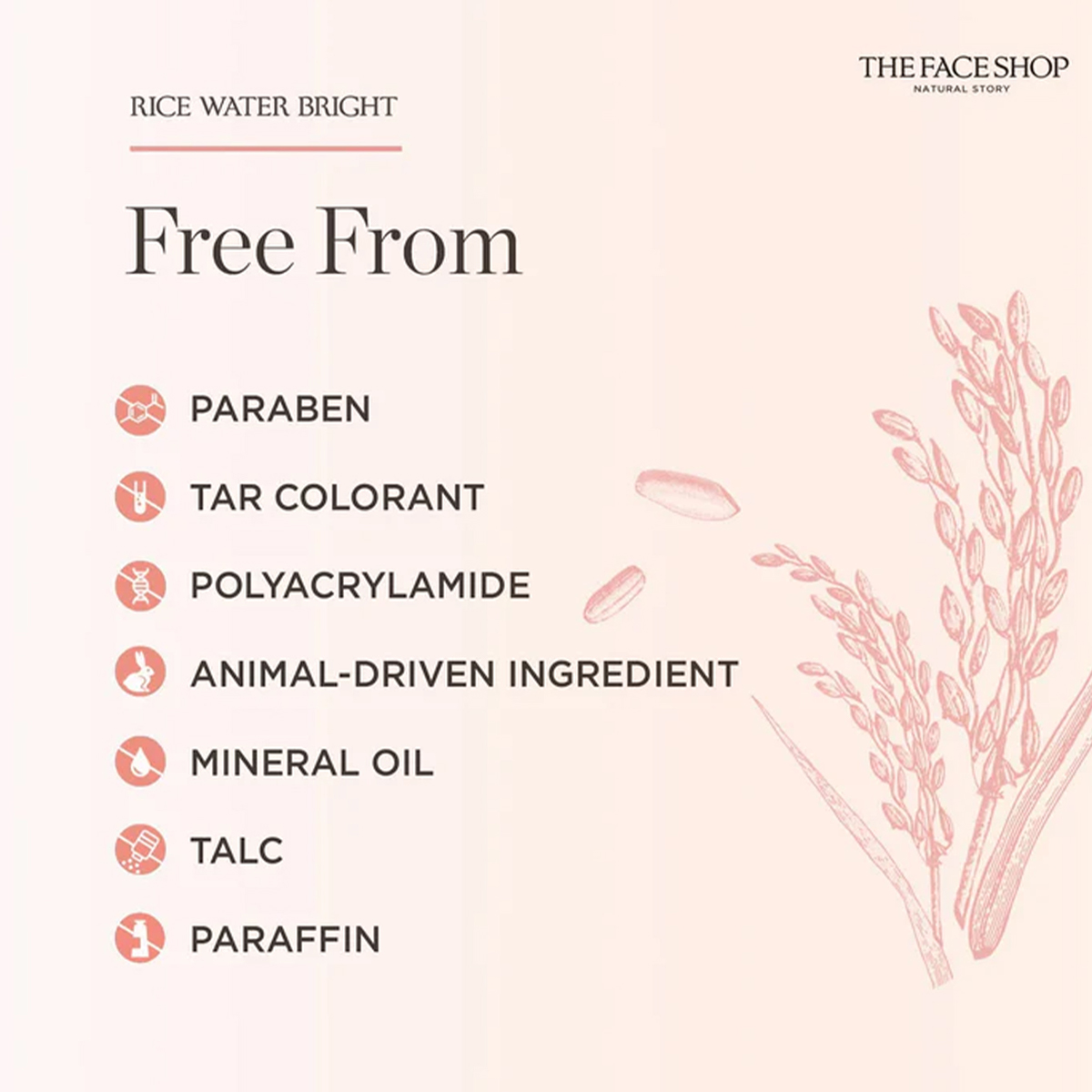 THE FACE SHOP RICE WATER BRIGH – Luxury Skincare Aesthetic Bewertung und Preis
